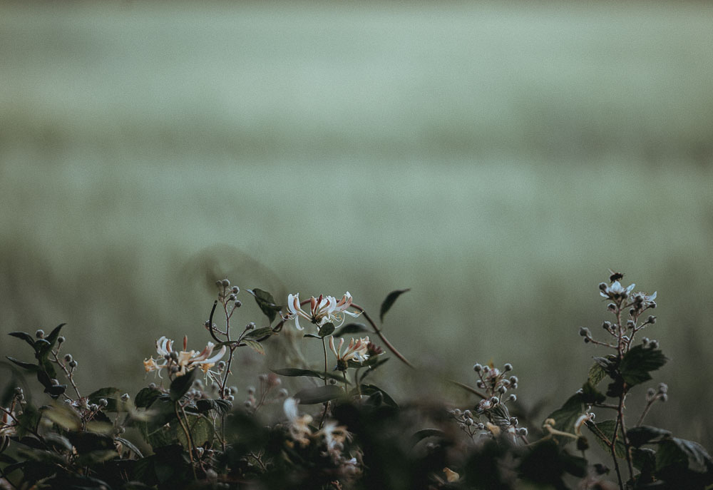 Decarme Groep | Uitzenden en Detacheren, Werven en Selecteren